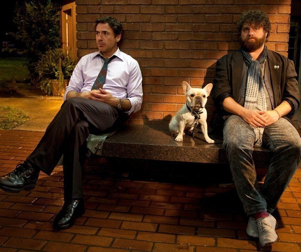 Robert Downey Jr. krijgt spijt van zijn beslissing in Due Date