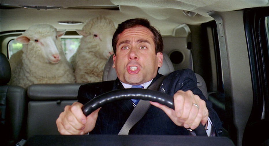 Steve Carell timmert een ark Steve Carell timmert een ark