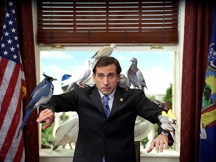 Steve Carell timmert een ark Steve Carell timmert een ark