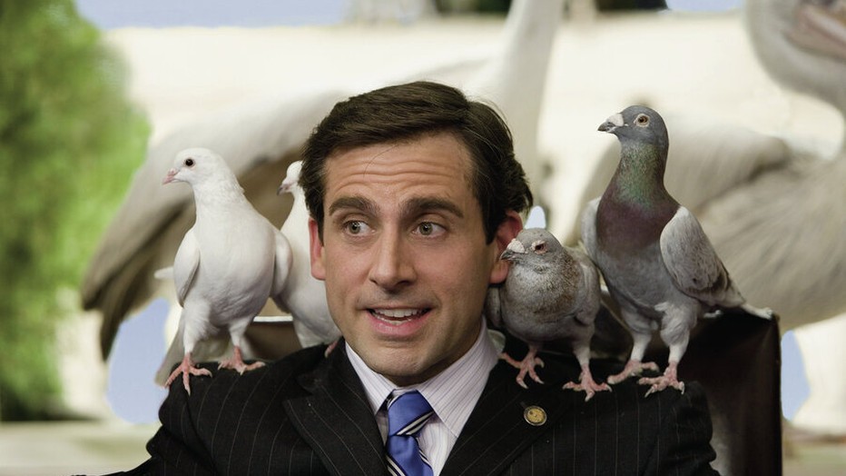 Steve Carell Steve Carell