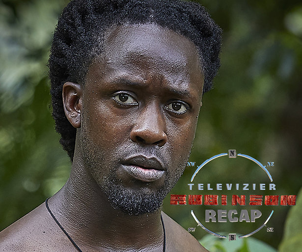 Robinson Recap #14: De Laatste Loodjes.