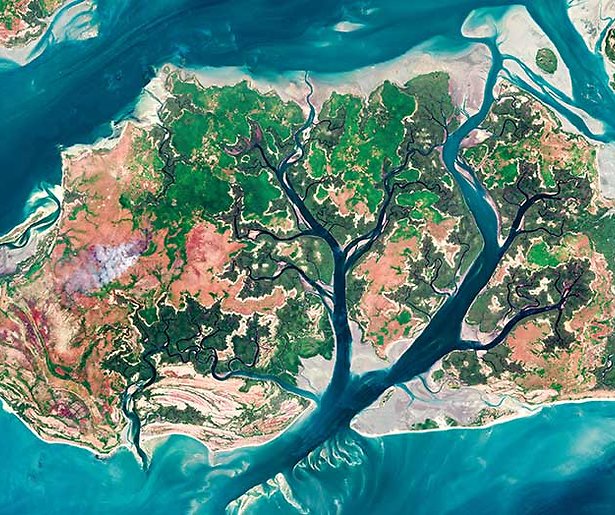 De aarde zoals je die nog nooit hebt gezien in Earth From Space 