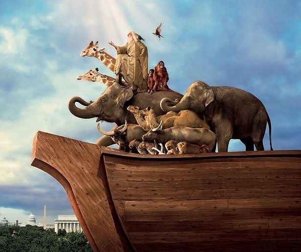 Evan Almighty: Steve Carell timmert ark