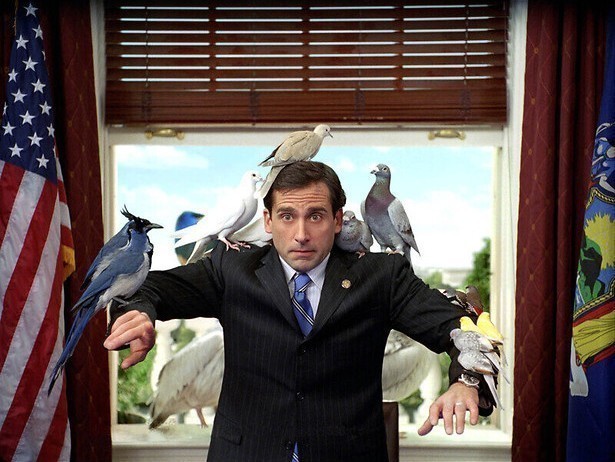 Steve Carell timmert een ark