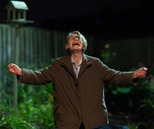 Moeizame zoektocht in verfilming Elizabeth Is Missing 