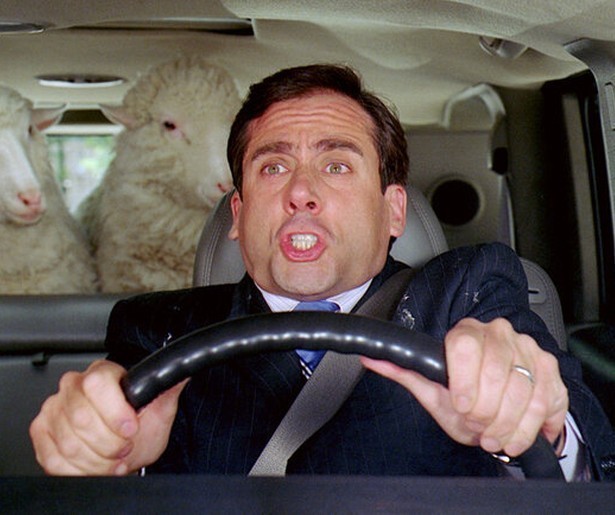 Steve Carell timmert als Evan Almighty een ark