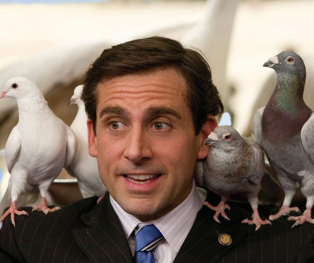 Steve Carell bouwt een ark in Evan Almighty