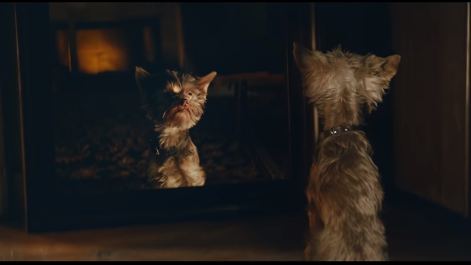 Frekkel wint Gouden Loekie 2018