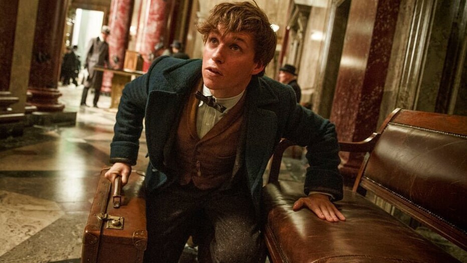 Eddie Redmayne in Fantastic Beasts and Where to Find Them Eddie Redmayne in Fantastic Beasts and Where to Find Them