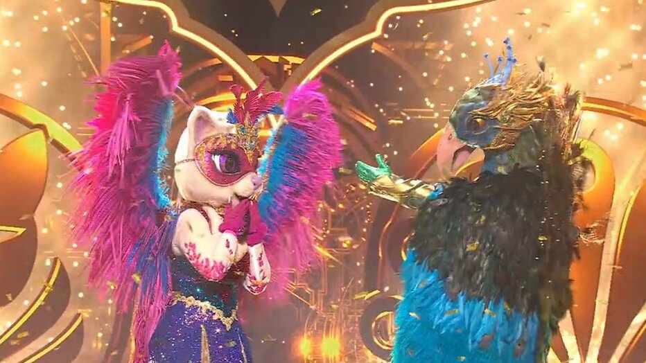 De Glamourpoes en De Pauw traden samen op.