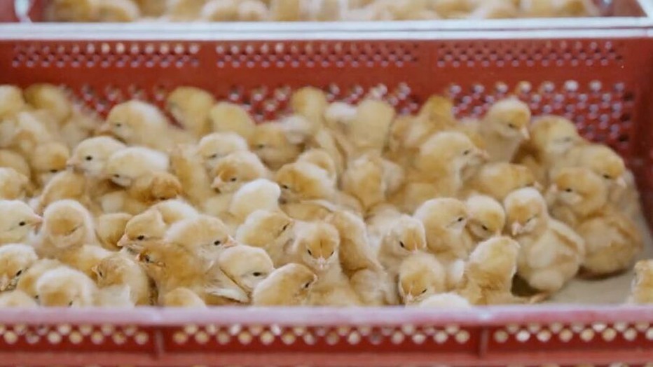 Still bij nieuwe aflevering Focus