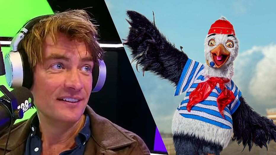 Is Frank Dane de Meeuw in The Masked Singer?