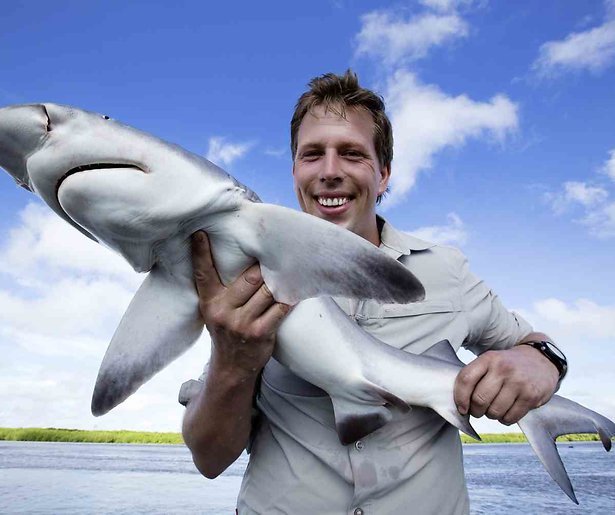 Freek Vonk zwemt weer met haaien