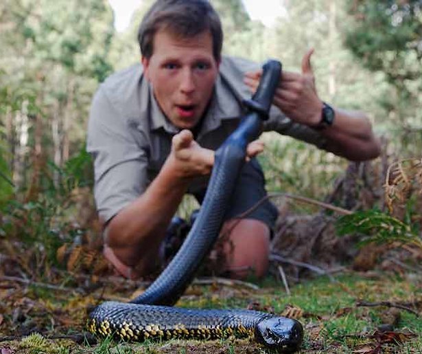 Freek Vonk nam een slang mee naar Pauw. Mag dat?