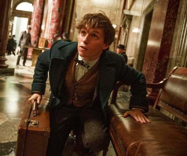 Eddie Redmayne tovert erop los in Fantastic Beasts and Where to Find Them