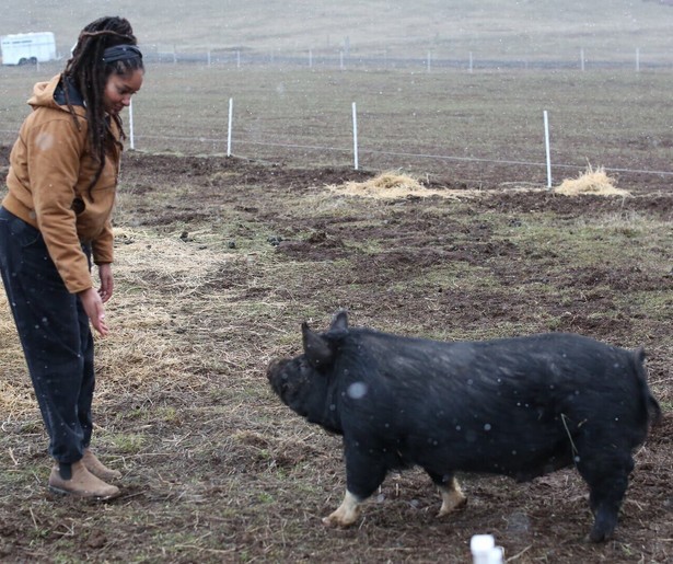 Indy Officinalis maakt boerderijdromen waar in Farm Dreams