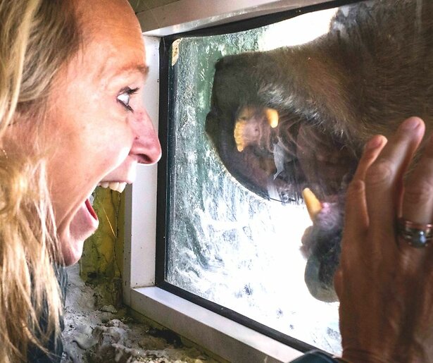 Floortje Dessing mag weer op reis voor nieuw BNNVARA-programma