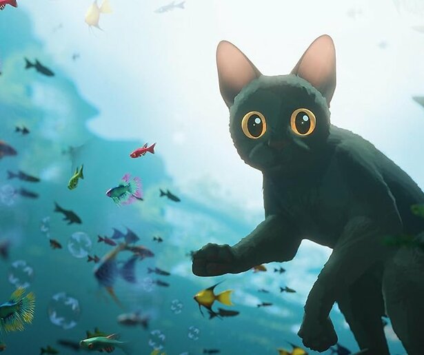 Een kat zoekt zijn weg in bijzondere animatiefilm Flow