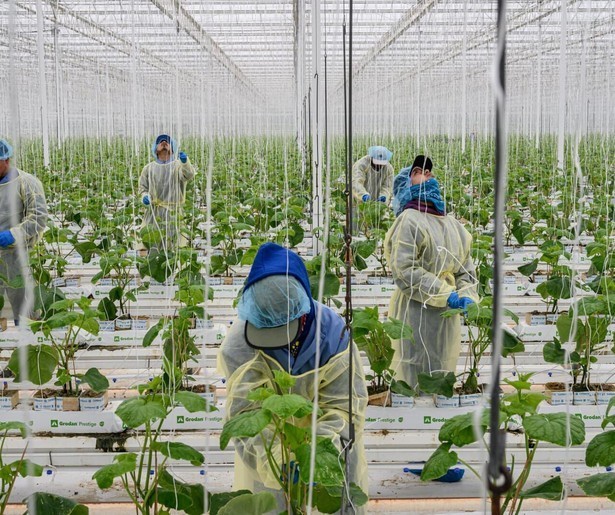 De vierdelige serie Food for Thought gaat van start op NPO2