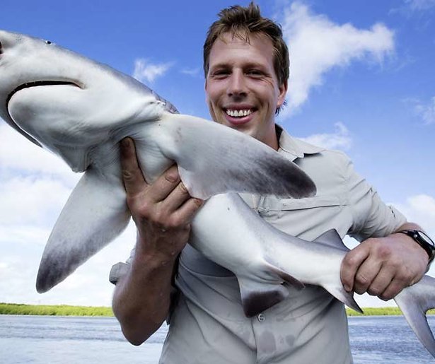 Klaas van Kruistum en Freek Vonk redden de haaien