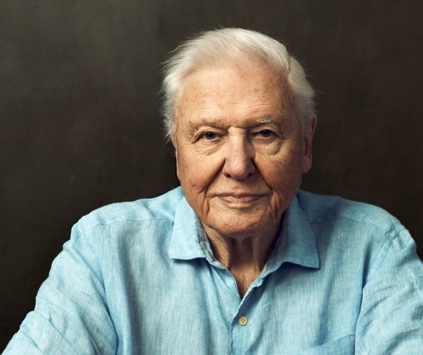 David Attenborough neemt een kijkje bij orka's, Siberische tijgers en ijsberen in Frozen Planet II