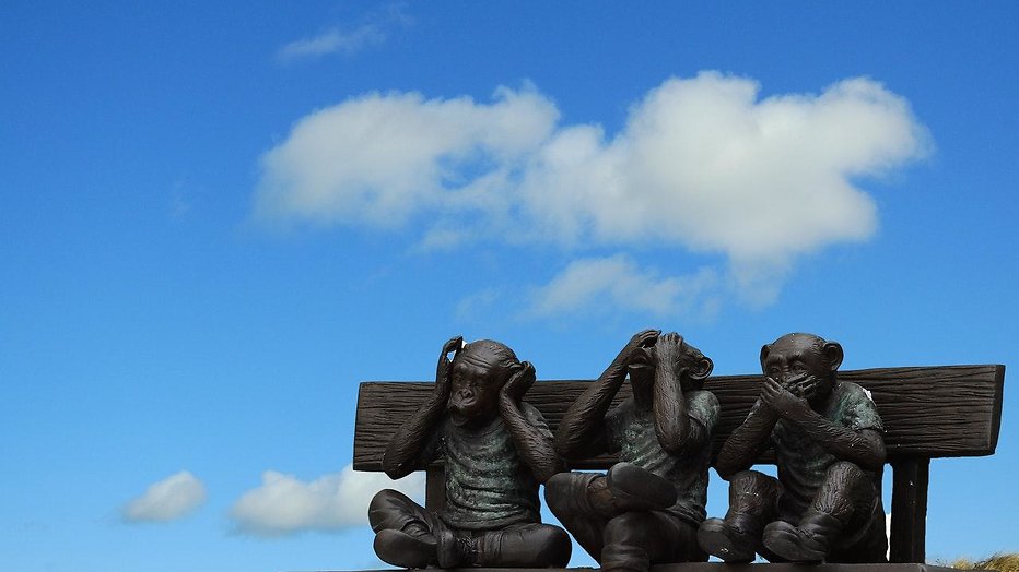 Horen, zien en zwijgen