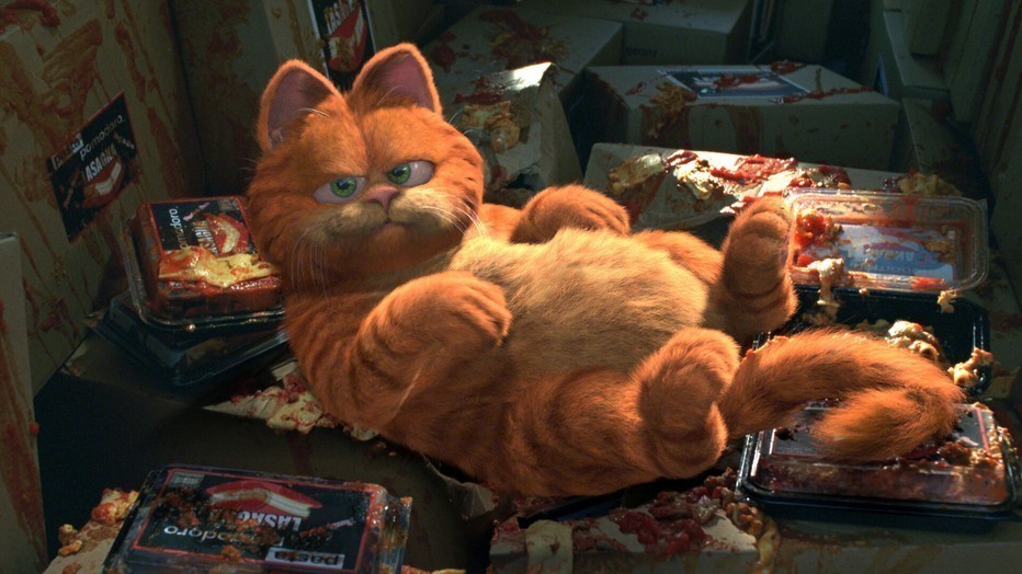Garfield Garfield