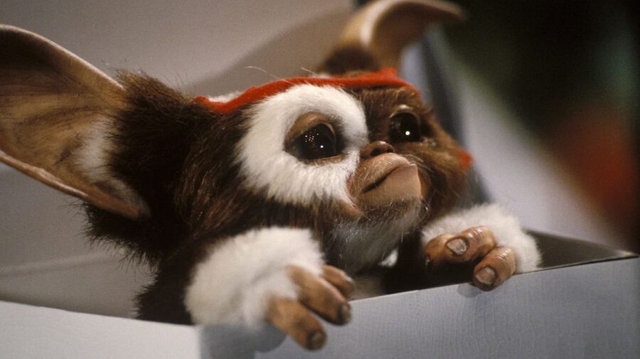 Still uit De Gremlins 2: The New Batch