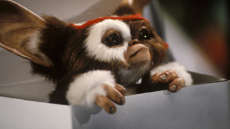 Still uit Gremlins 2: The New Batch