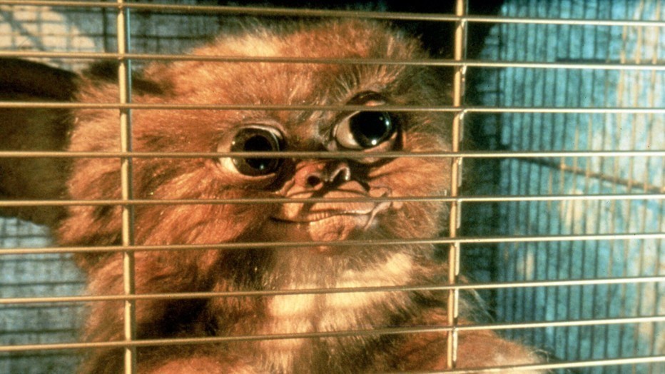 Still uit Gremlins