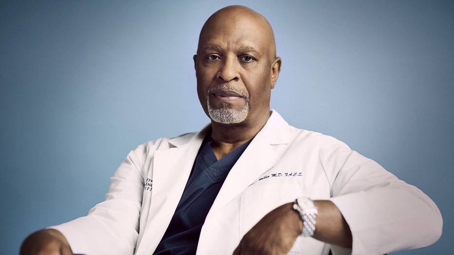 James Pickens Jr. als Richard Webber in Grey's Anatomy James Pickens Jr. als Richard Webber in Grey's Anatomy