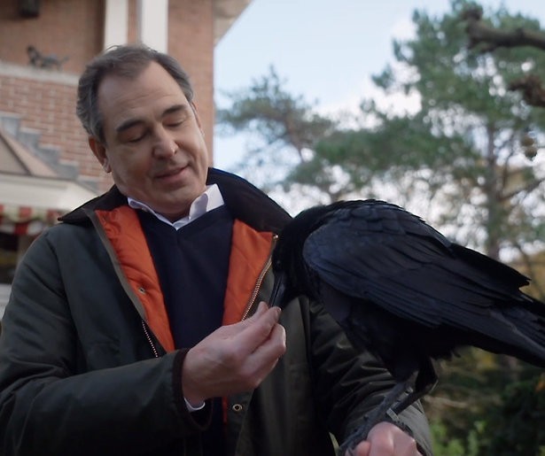 Kijkers GTST bezorgd om Ludo's dode raaf