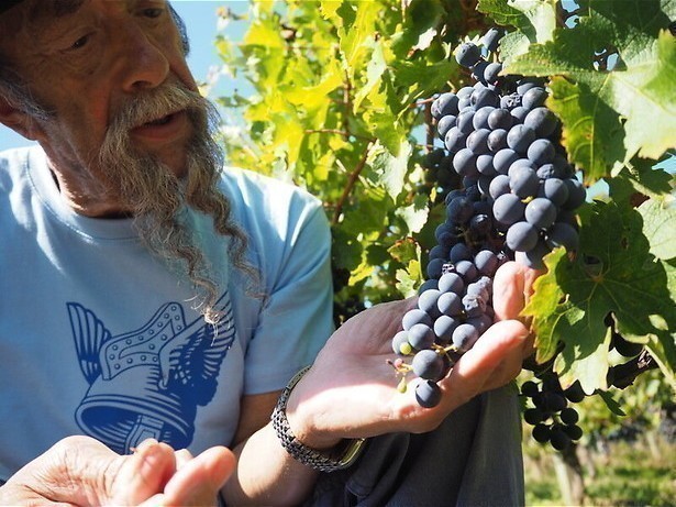 Wijnweetjes vanuit het eigen chateau