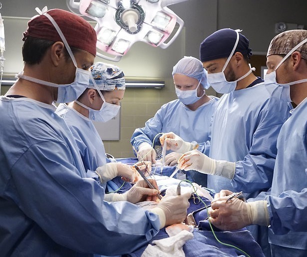 Kijktip: Het slot van het twaalfde seizoen van Grey's Anatomy