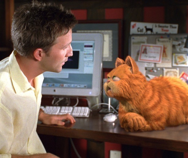 Bill Murray is een luie kat