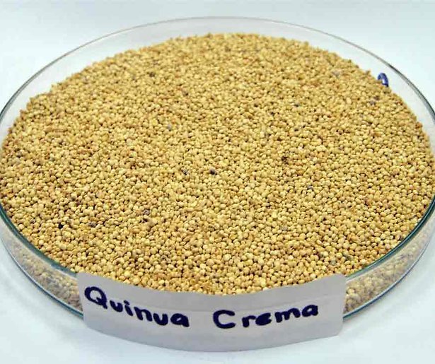 Superfood in Radar, de Quinoa-hype