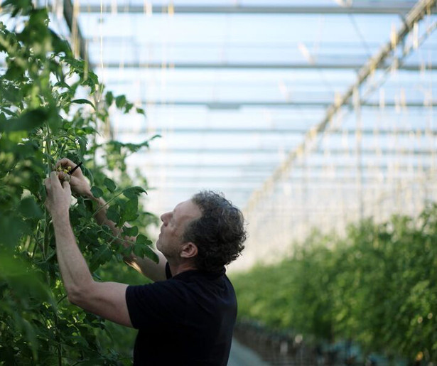 De driedelige documentaireserie Grasland gaat van start op NPO 2 