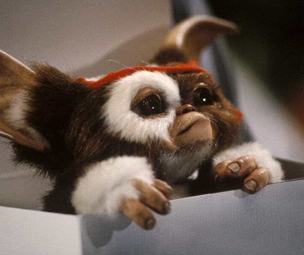 De gremlins zetten weer eens de boel op stelten in Gremlins 2: The New Batch