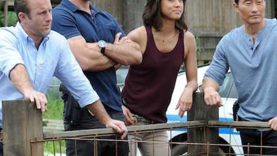 Vervolg seizoen 6 Hawaii Five-0 start zondag op Veronica Vervolg seizoen 6 Hawaii Five-0 start zondag op Veronica