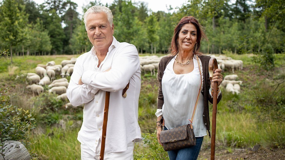 Het Hek van de Dam Televizier