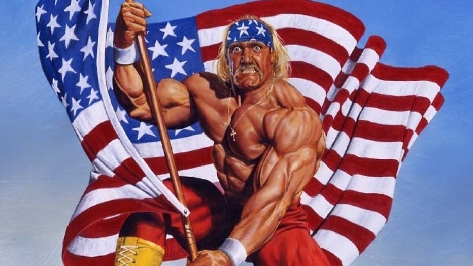 Hulk Hogan vermorzelt mediabedrijf Gawker