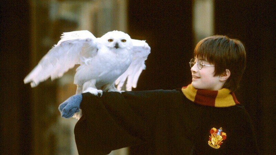 Harry Potter and the Philosopher's Stone Harry Potter and the Philosopher's Stone