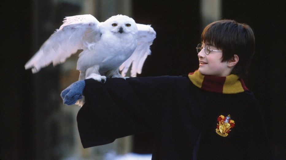 Harry Potter and the Philosopher's Stone Harry Potter and the Philosopher's Stone