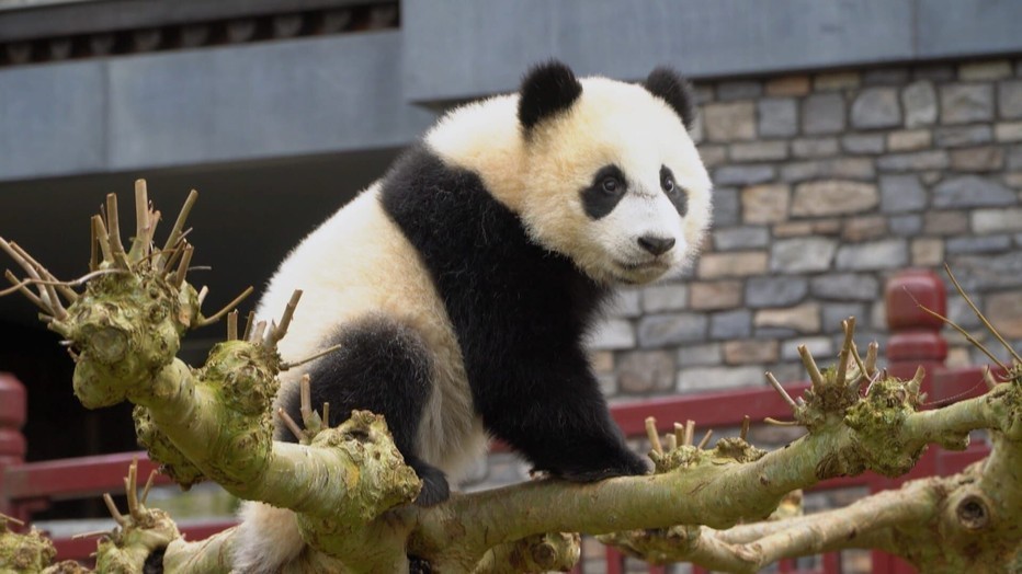 Still uit Het Echte Leven in de Dierentuin