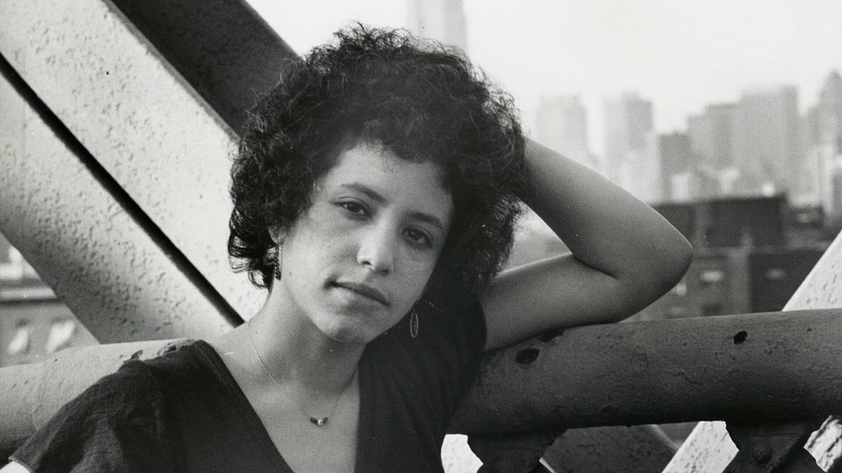 Janis Ian in Het Uur van de Wolf