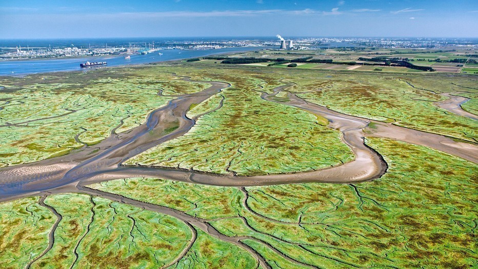 Holland: Natuur in de Delta Holland: Natuur in de Delta