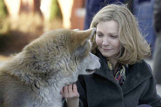 Hondstrouw aan Richard Gere