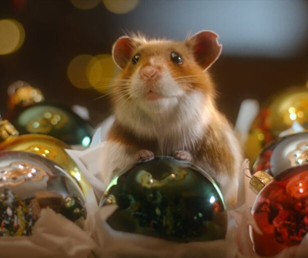 Fan van kerstcommercials op tv? Op deze datum gaan ze allemaal in première