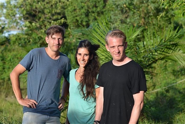 Prachtige katachtigen in Helden van de Wildernis