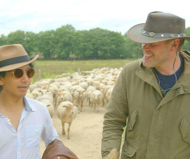 Bang voor de boze wolf